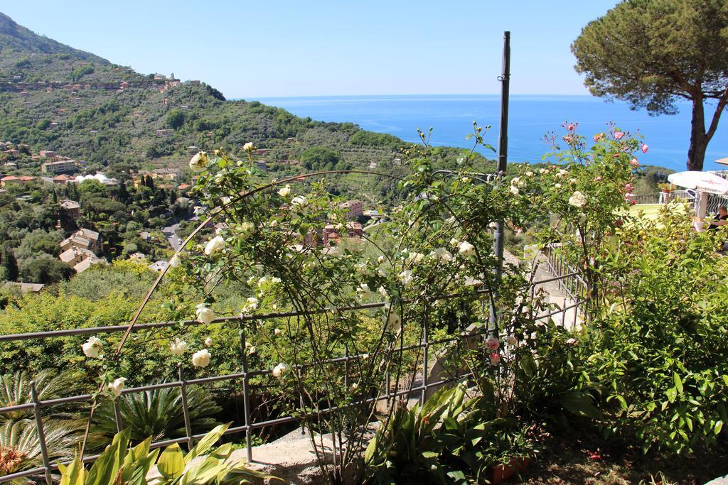 B&B Villa Orchidea Camogli Kültér fotó