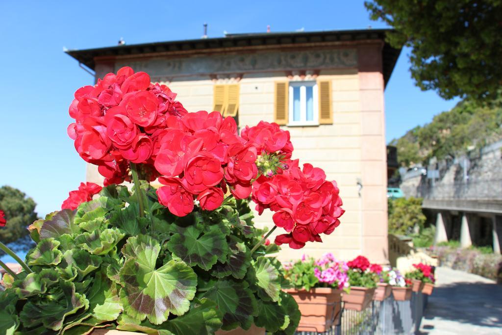 B&B Villa Orchidea Camogli Kültér fotó